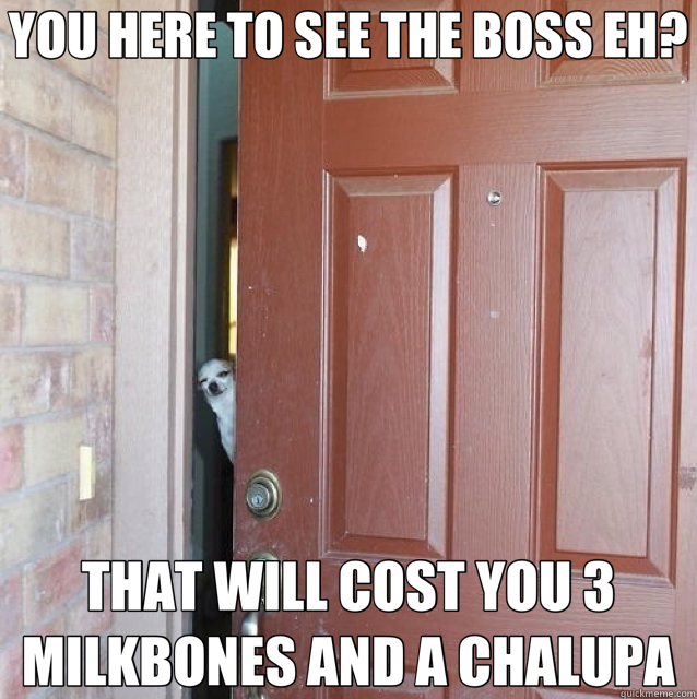 YOU HERE TO SEE THE BOSS EH? THAT WILL COST YOU 3 MILKBONES AND A CHALUPA - YOU HERE TO SEE THE BOSS EH? THAT WILL COST YOU 3 MILKBONES AND A CHALUPA  Suspicious Pedro
