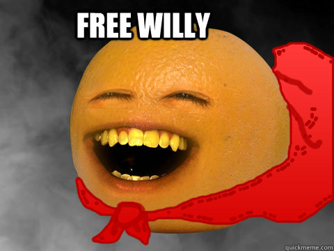 free willy  - free willy   Orange Cape