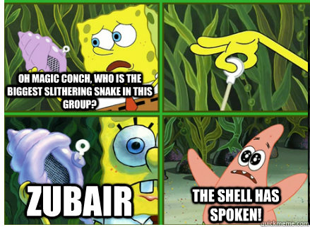 Oh Magic Conch, who is the biggest slithering snake in this group? zubair The SHELL HAS SPOKEN!  Magic Conch Shell
