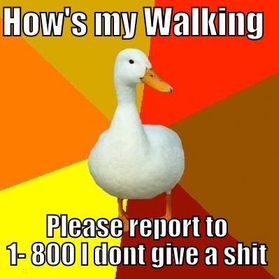 stay off my ass - HOW'S MY WALKING   PLEASE REPORT TO 1- 800 I DONT GIVE A SHIT Tech Impaired Duck