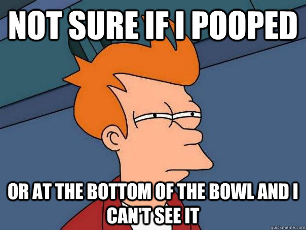 Not sure if I pooped Or at the bottom of the bowl and I can't see it  Futurama Fry