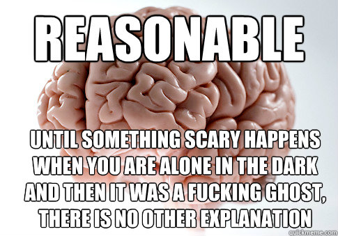 Reasonable Until something scary happens when you are alone in the dark and then it was a fucking ghost, there is no other explanation   Scumbag Brain