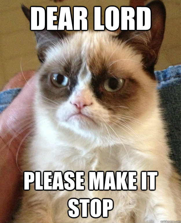 DEAR LORD PLEASE MAKE IT STOP  Grumpy Cat