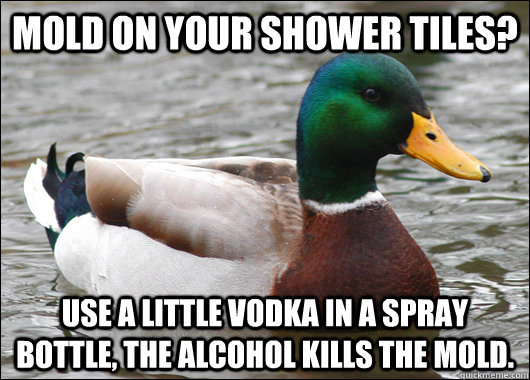 Mold on your shower tiles? Use a little vodka in a spray bottle, the alcohol kills the mold.  Actual Advice Mallard