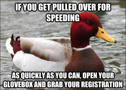 If you get pulled over for speeding as quickly as you can, open your glovebox and grab your registration  Malicious Advice Mallard
