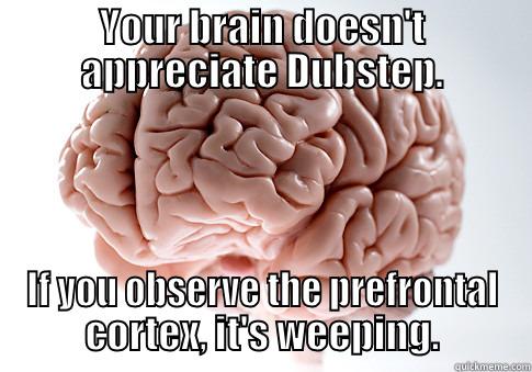 YOUR BRAIN DOESN'T APPRECIATE DUBSTEP. IF YOU OBSERVE THE PREFRONTAL CORTEX, IT'S WEEPING. Scumbag Brain