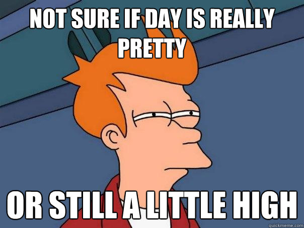not sure if day is really pretty or still a little high  Futurama Fry