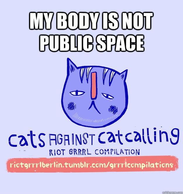 my body is not public space  cats against catcalling