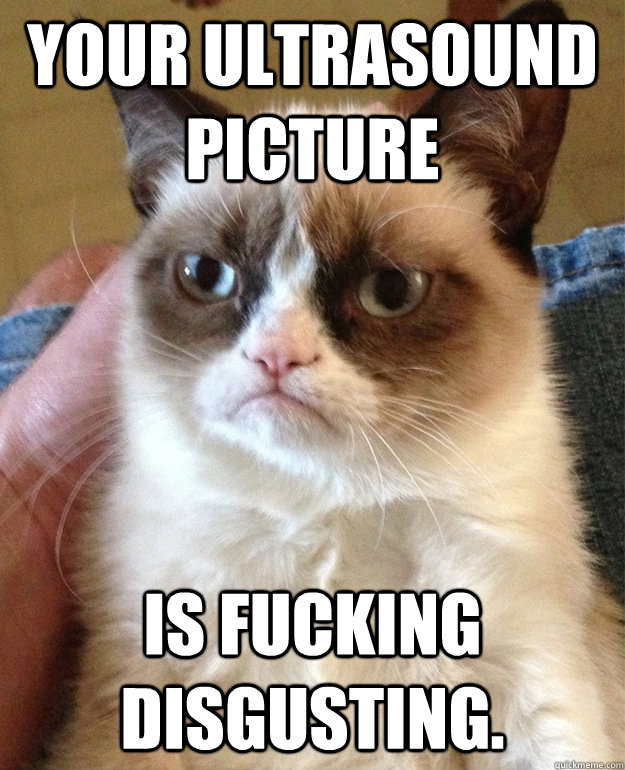 Your ultrasound picture is fucking disgusting.  grumpycat