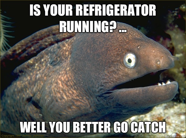 Is your refrigerator running? ... Well you better go catch  - Is your refrigerator running? ... Well you better go catch   Bad Joke Eel
