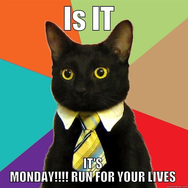 IS IT  IT'S MONDAY!!!! RUN FOR YOUR LIVES Business Cat