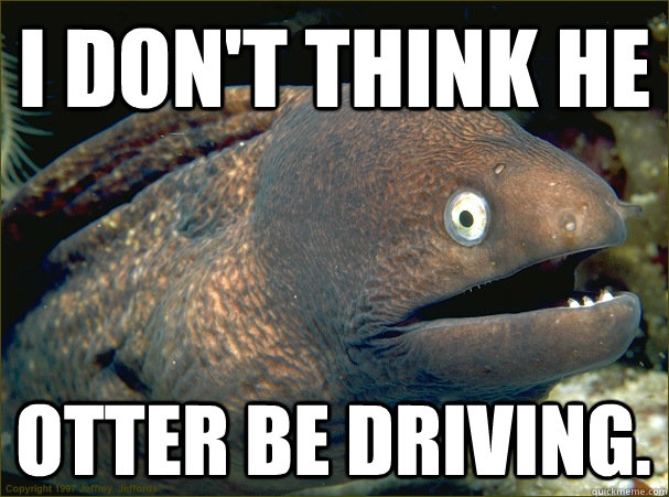 I don't think he otter be driving.  Bad Joke Eel