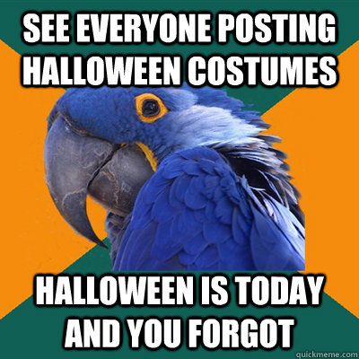 See everyone posting Halloween costumes Halloween is today and you forgot  Paranoid Parrot