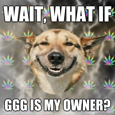 Wait, what if GGG is my owner?   Stoner Dog