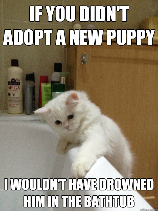 If you didn't adopt a new puppy I wouldn't have drowned him in the bathtub - If you didn't adopt a new puppy I wouldn't have drowned him in the bathtub  Evil Hindsight Cat