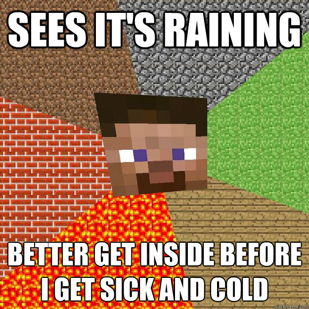 SEES IT'S RAINING BETTER GET INSIDE BEFORE I GET SICK AND COLD
 - SEES IT'S RAINING BETTER GET INSIDE BEFORE I GET SICK AND COLD
  Minecraft