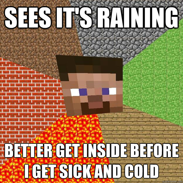 SEES IT'S RAINING BETTER GET INSIDE BEFORE I GET SICK AND COLD
  Minecraft