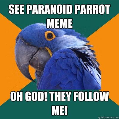 See Paranoid Parrot Meme Oh GOD! they follow me!  Paranoid Parrot