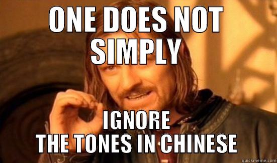 ONE DOES NOT SIMPLY IGNORE THE TONES IN CHINESE Boromir