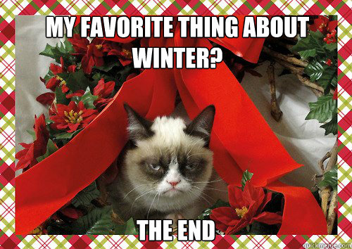 My favorite thing about winter? The end - My favorite thing about winter? The end  A Grumpy Cat Christmas