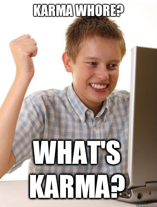 Karma whore? What's karma?  First Day on the Internet Kid