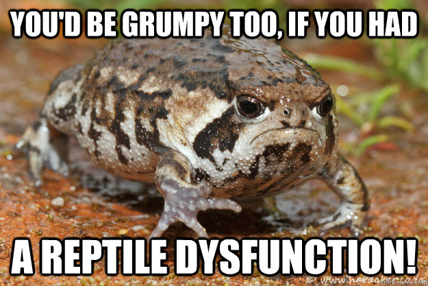 you'd be grumpy too, if you had a reptile dysfunction! - you'd be grumpy too, if you had a reptile dysfunction!  Misc