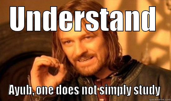 UNDERSTAND AYUB, ONE DOES NOT SIMPLY STUDY Boromir