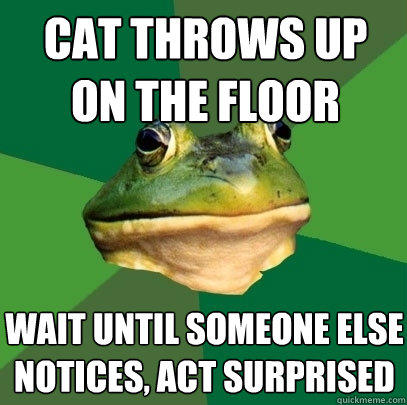 cat throws up on the floor wait until someone else notices, act surprised  