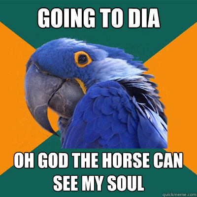 Going to DIA OH GOD THE HORSE CAN SEE MY SOUL  Paranoid Parrot