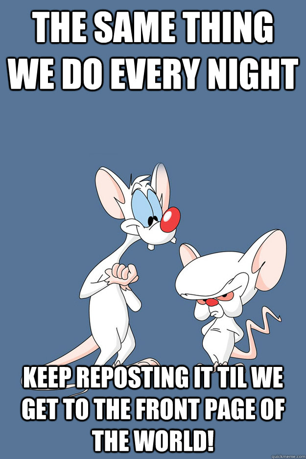 The same thing we do every night keep reposting it til we get to the front page of the world!  Pinky and the Brain