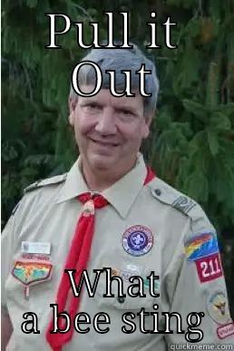 PULL IT OUT WHAT A BEE STING Harmless Scout Leader
