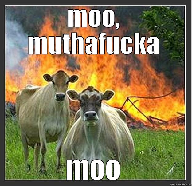Moo, bitch - MOO, MUTHAFUCKA MOO Evil cows