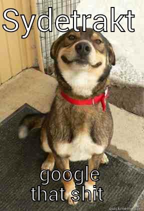 SYDETRAKT  GOOGLE THAT SHIT  Good Dog Greg