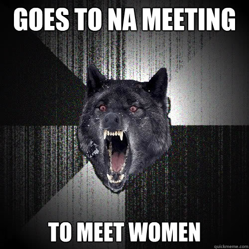 Goes to NA meeting to meet women  insanitywolf