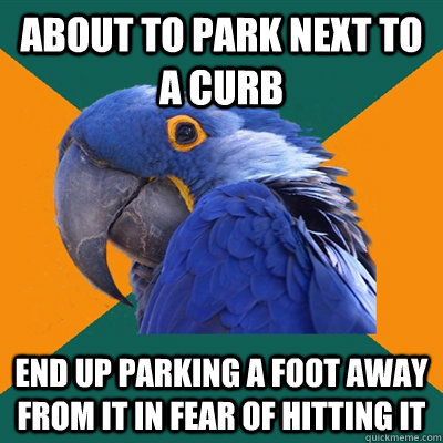 About to park next to a curb End up parking a foot away from it in fear of hitting it  Paranoid Parrot