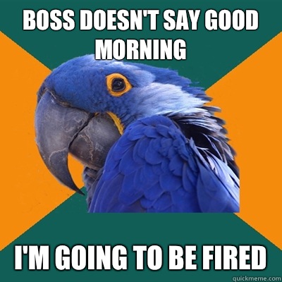 Boss doesn't say good morning I'm going to be fired  Paranoid Parrot