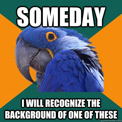 Someday I will recognize the background of one of these  Paranoid Parrot