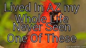 LIVED IN AZ MY WHOLE LIFE NEVER SEEN ONE OF THESE First World Problems