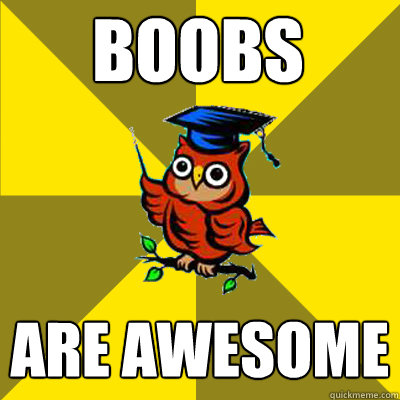 boobs are awesome - boobs are awesome  Observational Owl