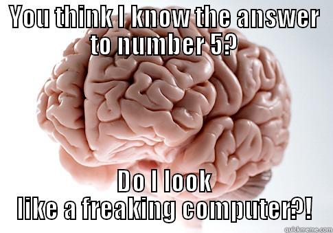 YOU THINK I KNOW THE ANSWER TO NUMBER 5? DO I LOOK LIKE A FREAKING COMPUTER?! Scumbag Brain