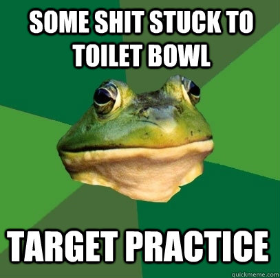 some shit stuck to toilet bowl target practice   Foul Bachelor Frog