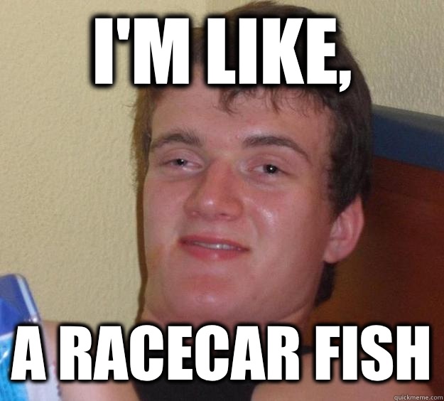 I'm like, A Racecar fish  10 Guy