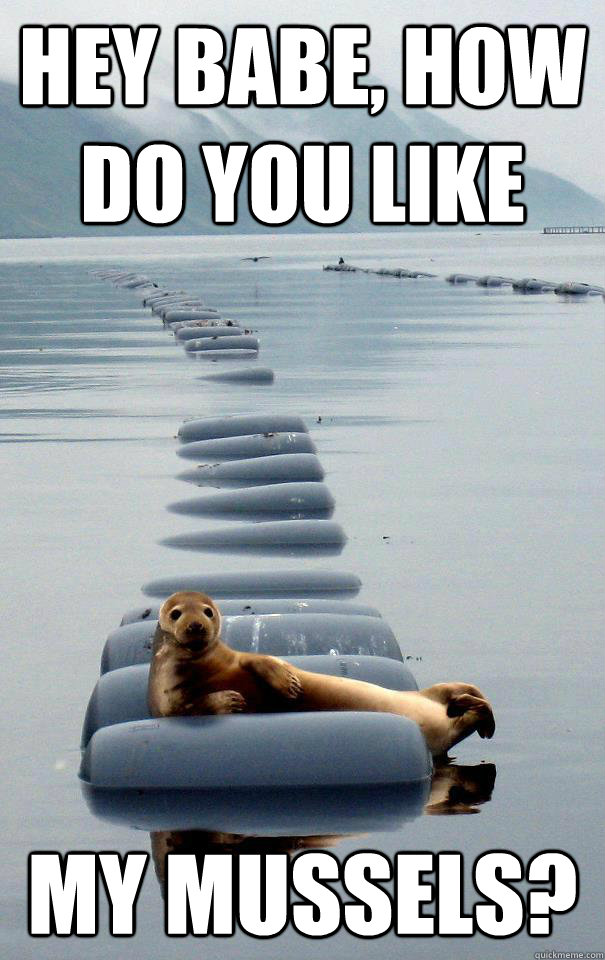 Hey babe, how do you like my mussels?  