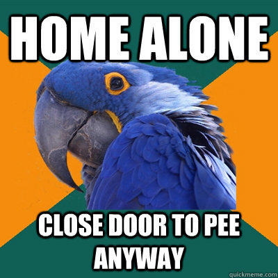 Home Alone close door to pee anyway  Paranoid Parrot