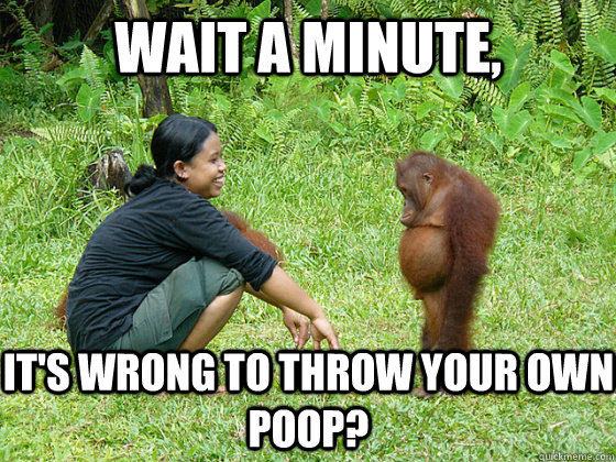 Wait a minute, it's wrong to throw your own poop?  Skeptical Monkey