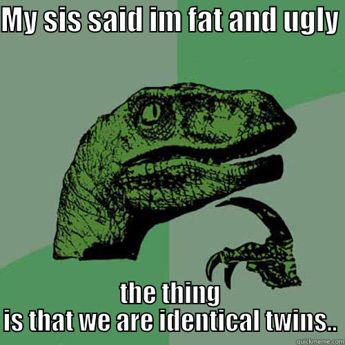 MY SIS SAID IM FAT AND UGLY  THE THING IS THAT WE ARE IDENTICAL TWINS.. Philosoraptor