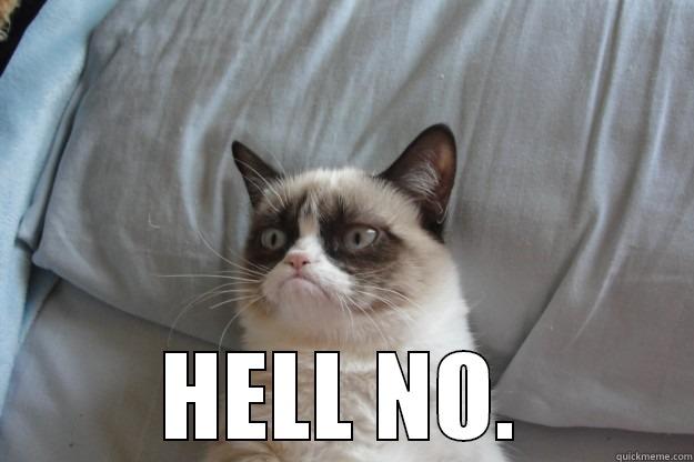  HELL NO. Grumpy Cat