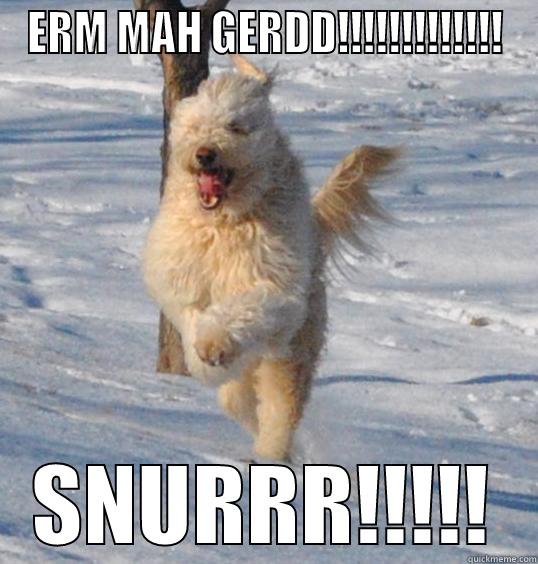 Snowdog doodle - ERM MAH GERDD!!!!!!!!!!!!! SNURRR!!!!! Misc