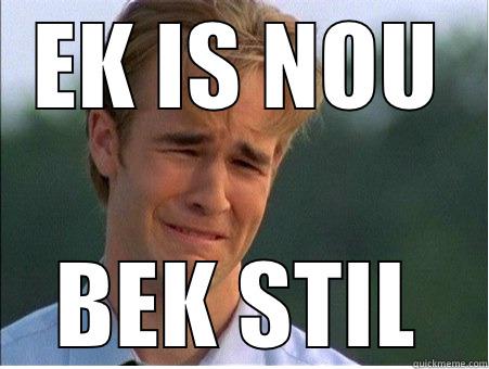 EK IS NOU BEK STIL 1990s Problems