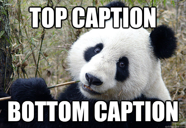 Top caption Bottom caption  Pick-up line Panda